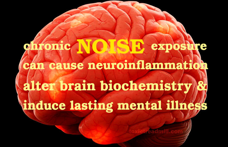 A red and inflamed brain with the words-chronic noise exposure can cause neuroinflammation, alter brain chemistry, and induce lasting mental illness