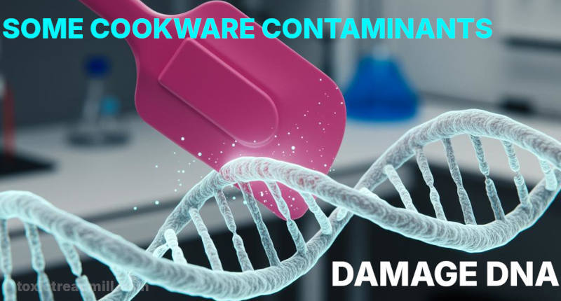 A pink plastic spatula hits a DNA strand causing bits to fly off. Words read, Some cookware contaminants damage DNA