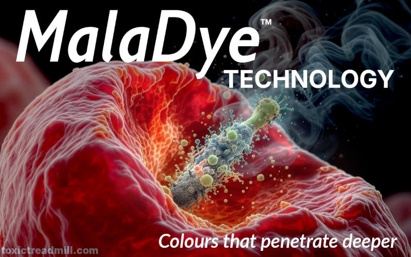 A microfibre penetrates a cell and releases toxic particles