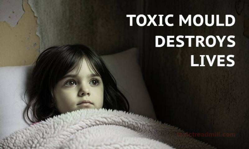 A young girl in bed, the walls are mouldy, words say-toxic mould destroys lives